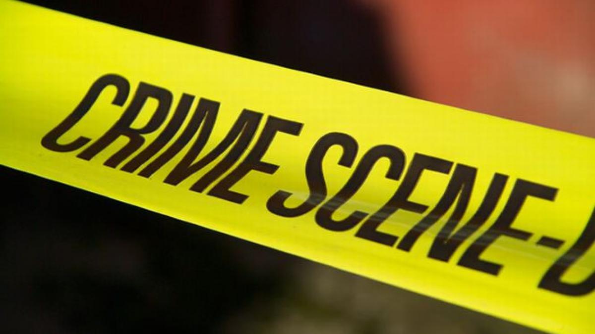 romani buni europeni politistii de la serviciul omoruri pe urmele criminalilor