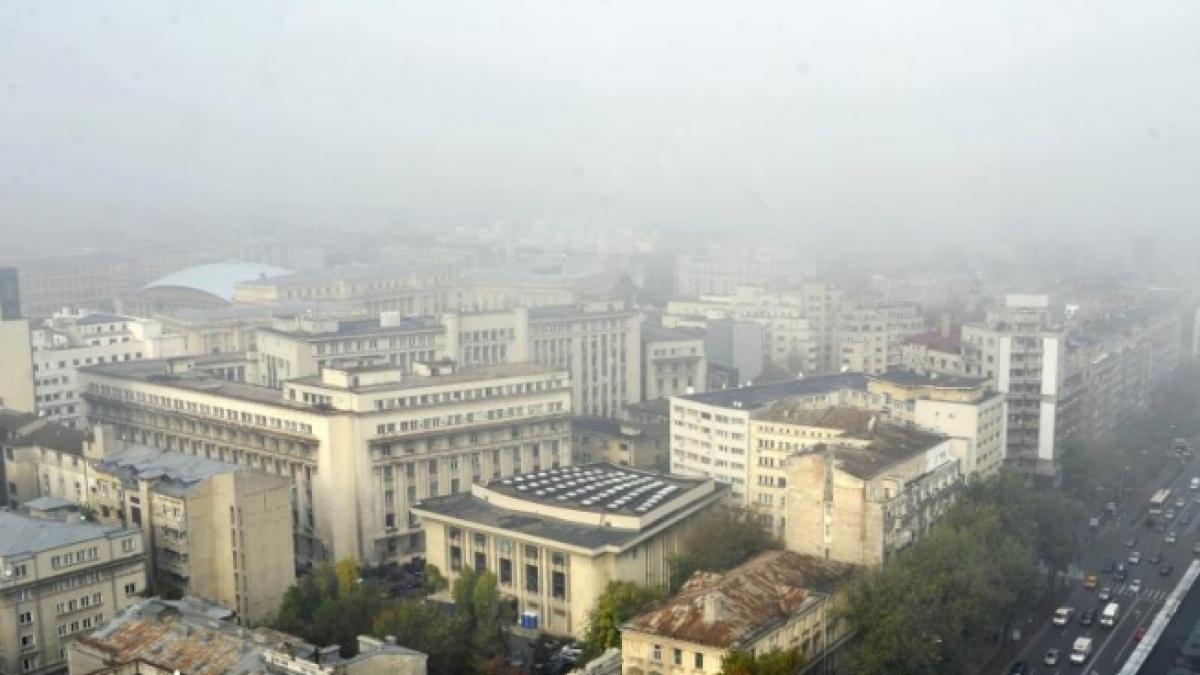 cod galben de ceata vezi zonele afectate