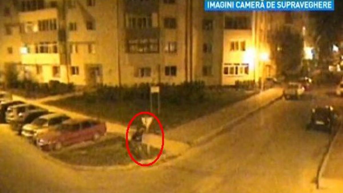 luptatorul de slatina si adversarul de fier dupa mai multe reprize de box iata cine ramane in