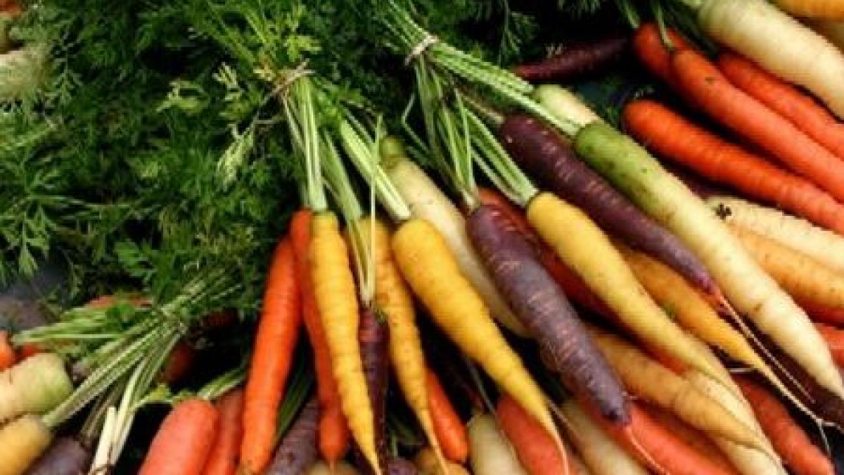 nu este mai sanatoasa studiul care distruge mitul mancarii organice