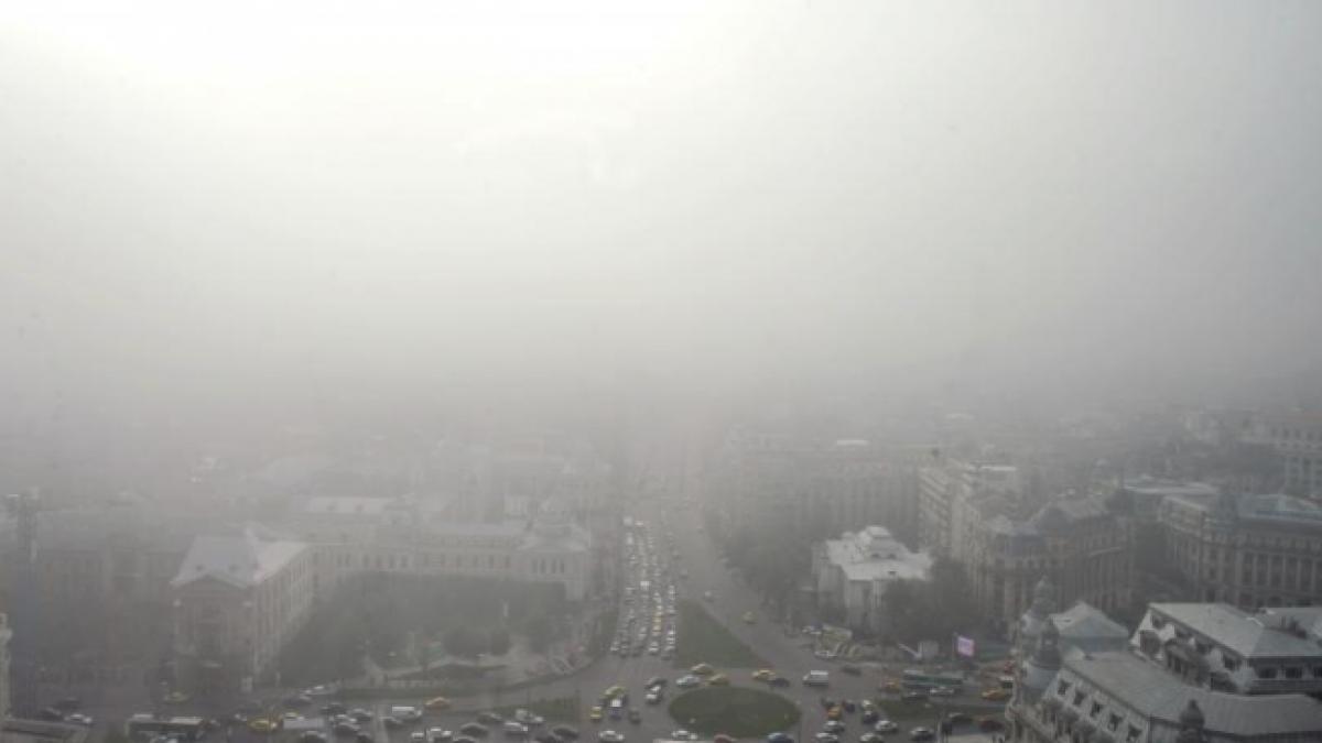 cod galben de ceata vezi zonele afectate