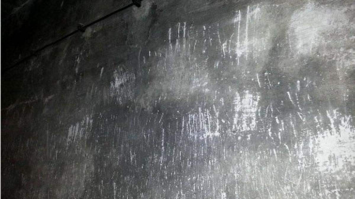 imaginea socanta care scoate la suprafata ororile razboiului zgariau peretii cu unghiile implorand