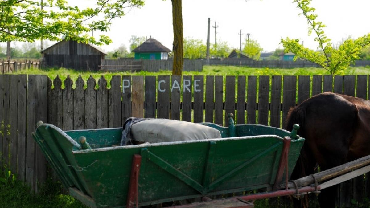 romania 2013 consultatii medicale in caruta