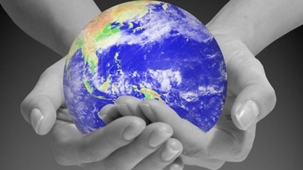 summitul mondial al climei ecologistii au vandut fructe putrezite in piete pentru a atrage atentia