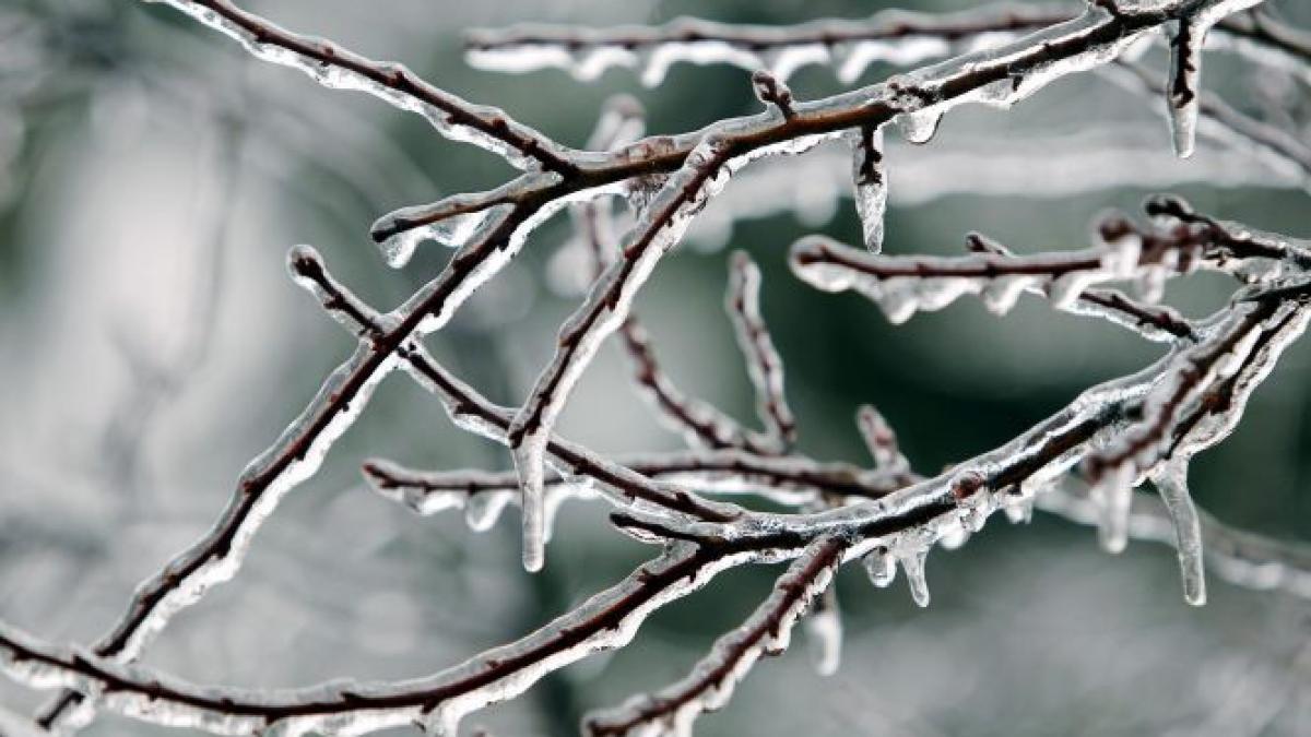 ministrul de finante a sters de pe site ul institutiei amenintarea gerului arctic daniel chitoiu