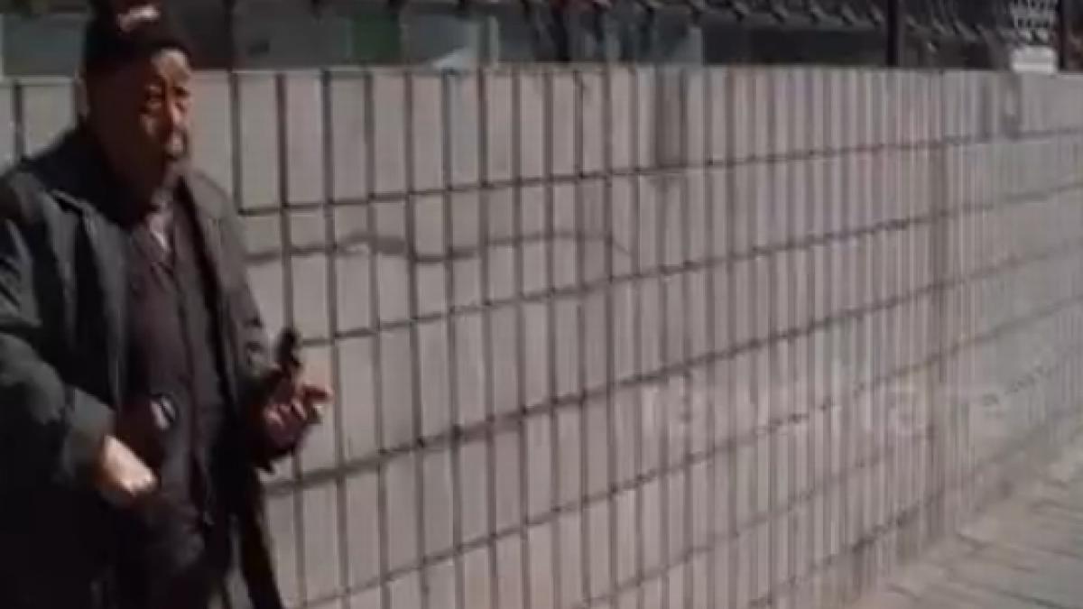 un cersetor din beijing si o pasare isteata fac bani impreuna vezi aici metoda lor