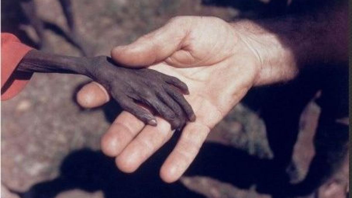 infografic cum va arata pamantul peste opt decenii si cine va avea cel mai mult de suferit