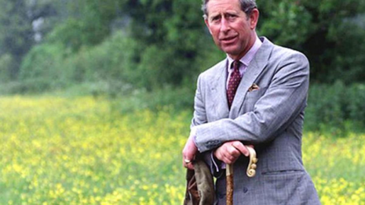 printul charles implineste astazi 65 de ani si iese oficial la pensie