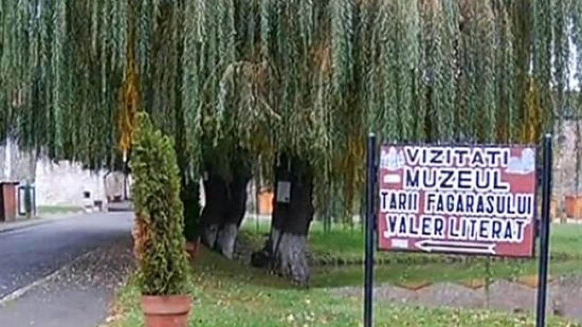 muzee nestiute cetatea fagarasului un loc fascinant si plin de istorie