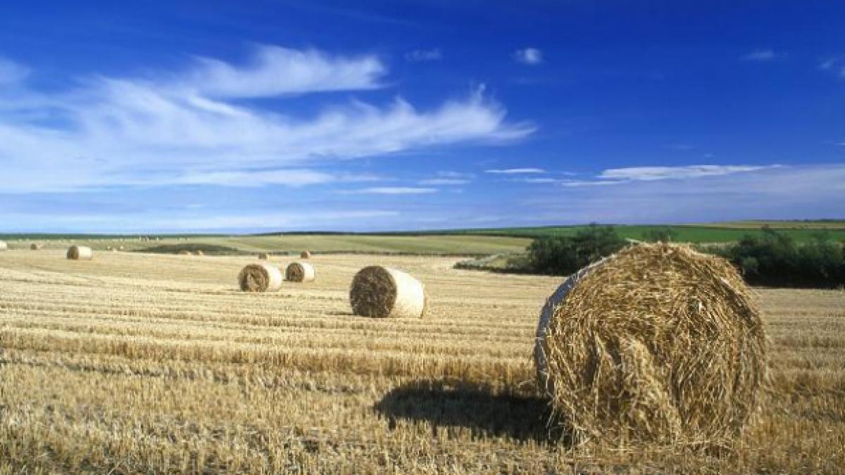 de la 1 ianuarie 2014 nu mai exista restrictii strainii ne pot cumpara pamantul