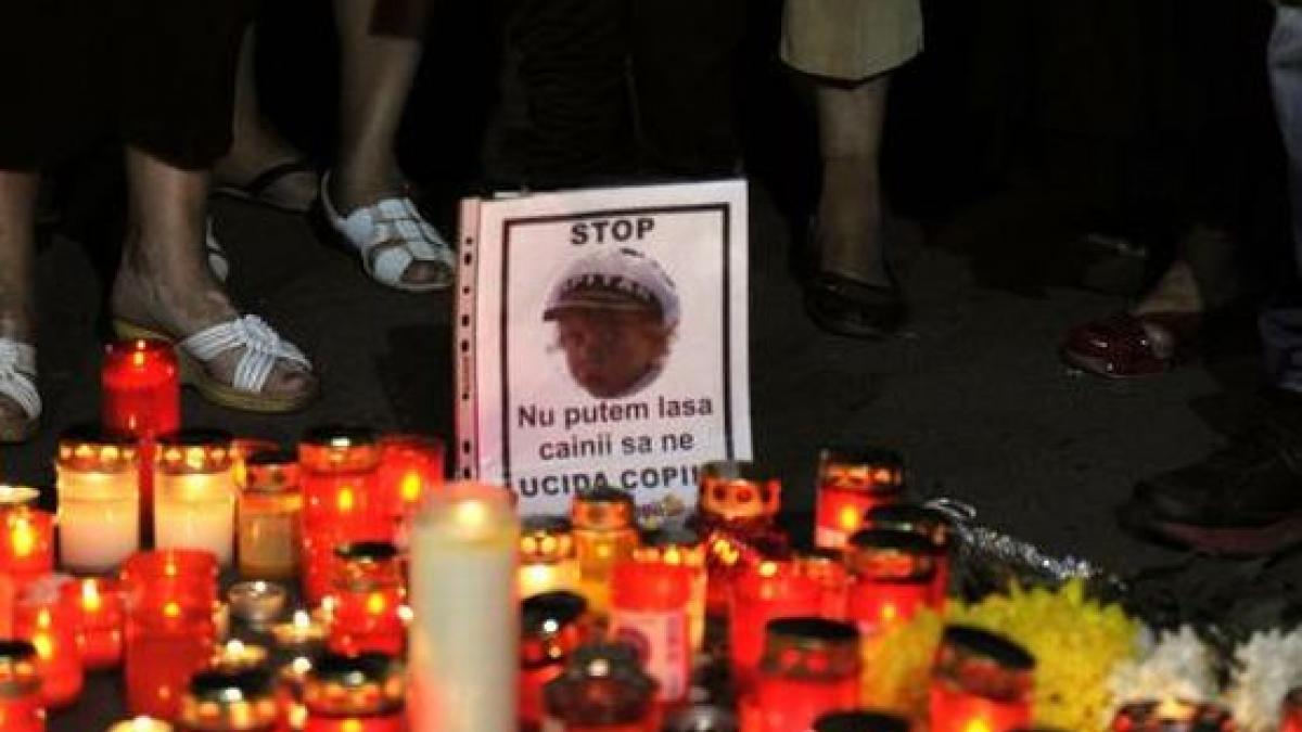 legea lui ionut blocata de lipsa a trei semnaturi ministrii spun ca nu au avut timp