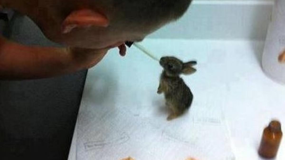 imaginea care arata frumusetea oamenilor ce face acest soldat american