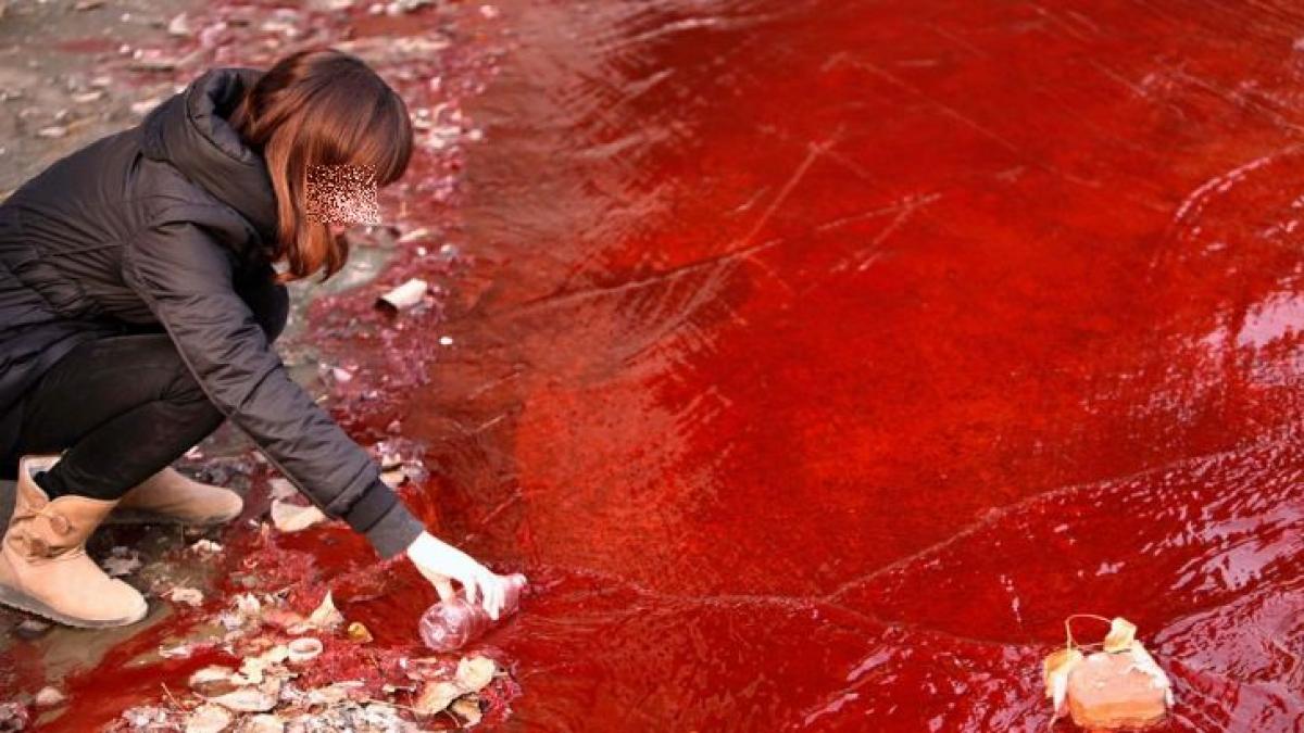 poluare masiva pe raul somesul mare apa raului s a inrosit