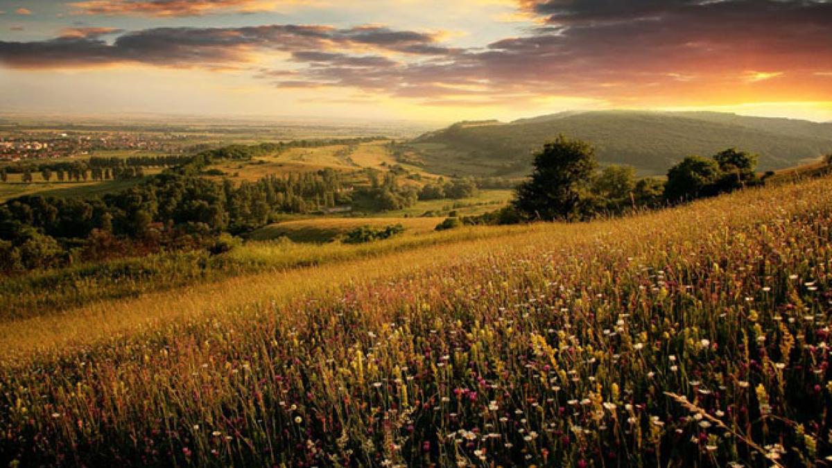 romanii sunt confundati cu romii iar asta duce la discriminare coordonatoarea proiectului de la the