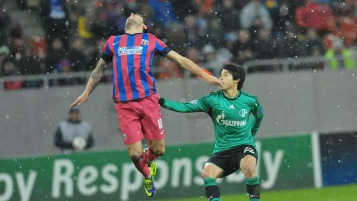 steaua a remizat cu schalke scor 0 0 si este eliminata din europa