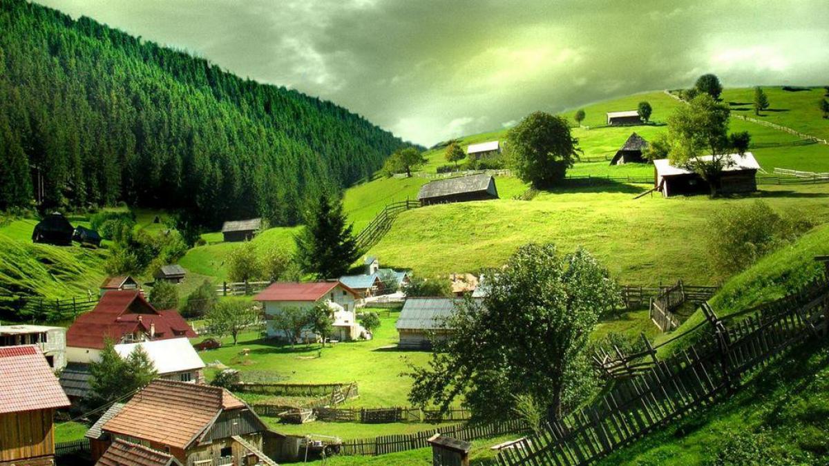 brandul de tara a fost ales scor final traditiile au castigat competitia cadou pentru toti romanii