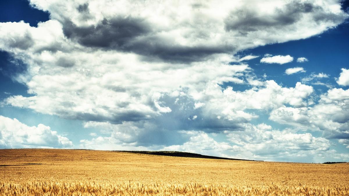 romania din nou granarul europei cifrele din spatele unui an agricol foarte bun