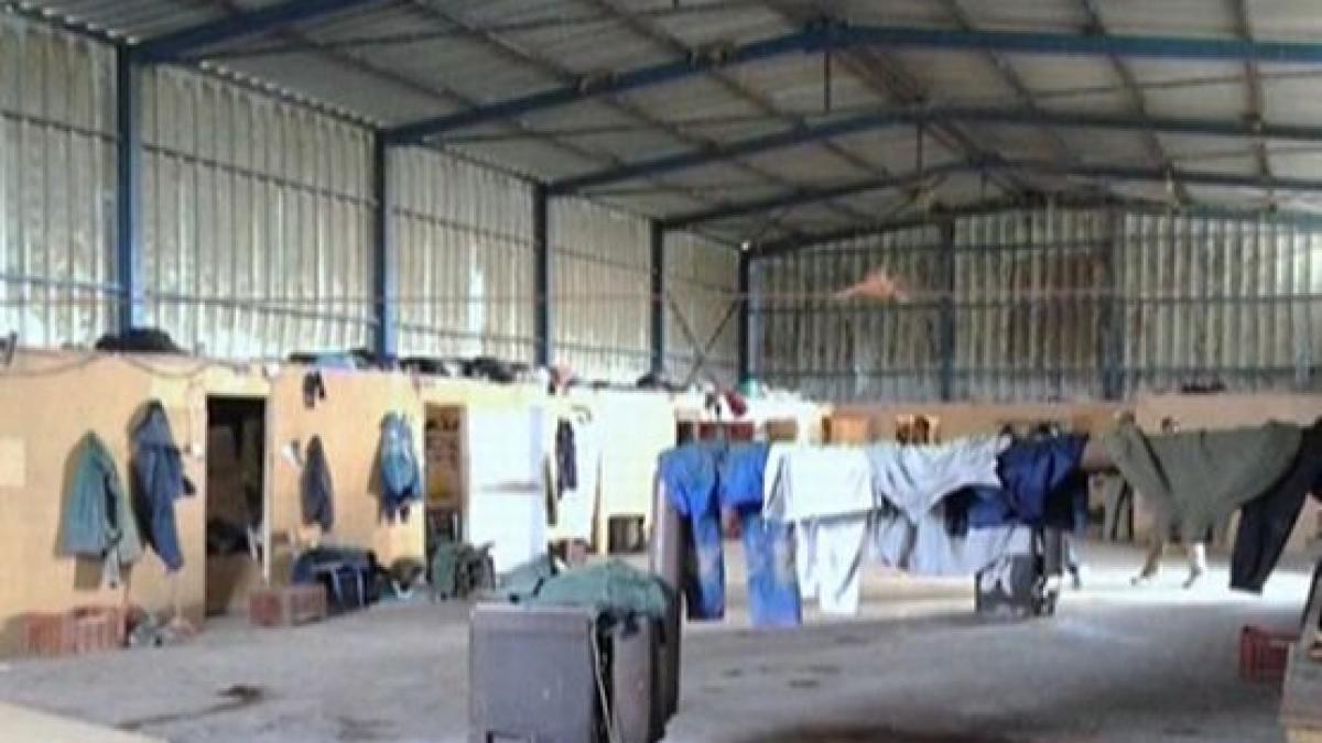 au vrut un trai mai bun pentru copiii lor dar au ajuns sclavi pe o plantatie din grecia