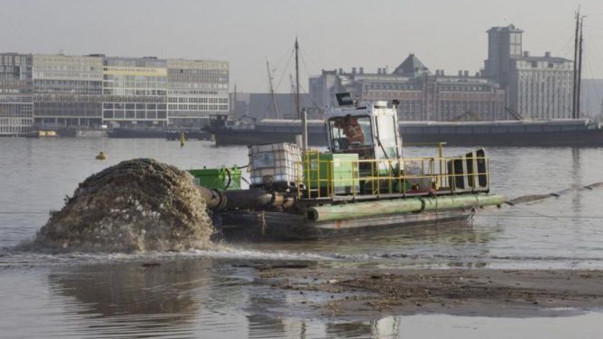 olanda a votat deschiderea pietei muncii pentru romani si bulgari de la 1 ianuarie 2014