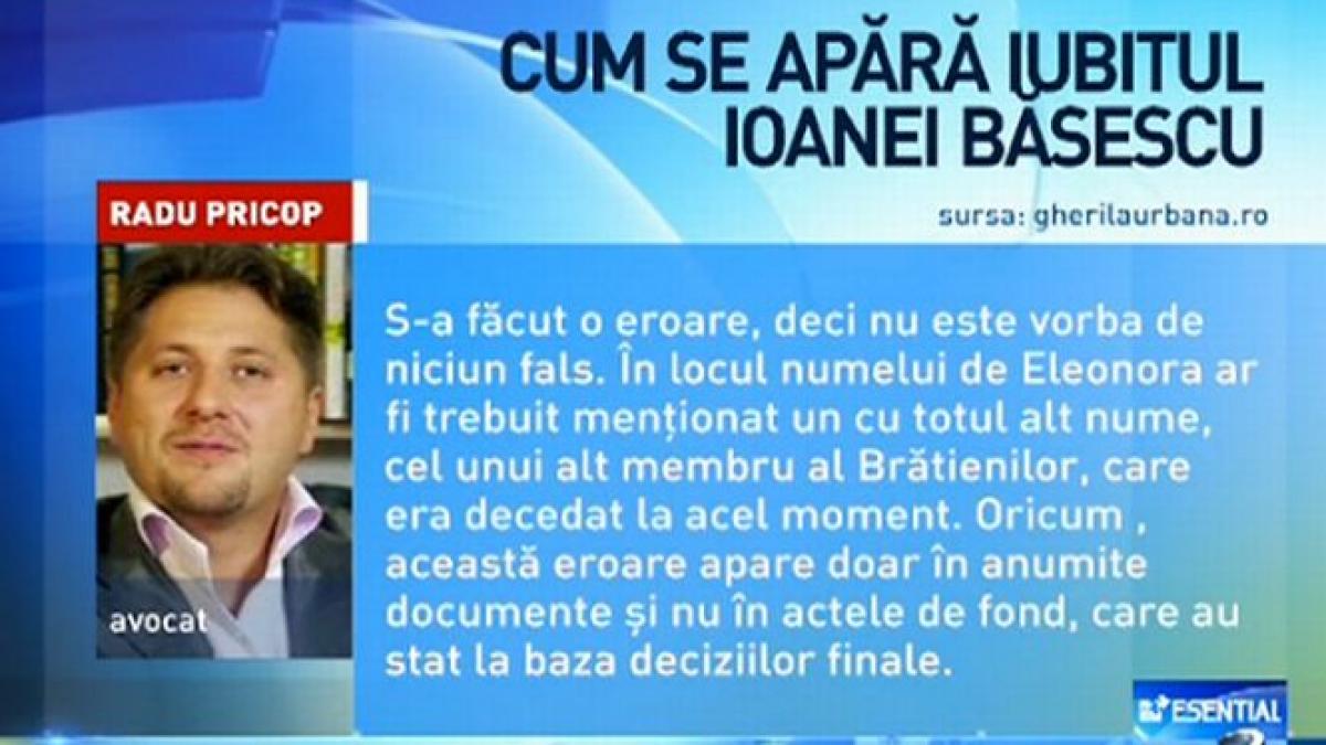 iubitul ioanei basescu in vizorul procurorilor cum se apara radu pricop