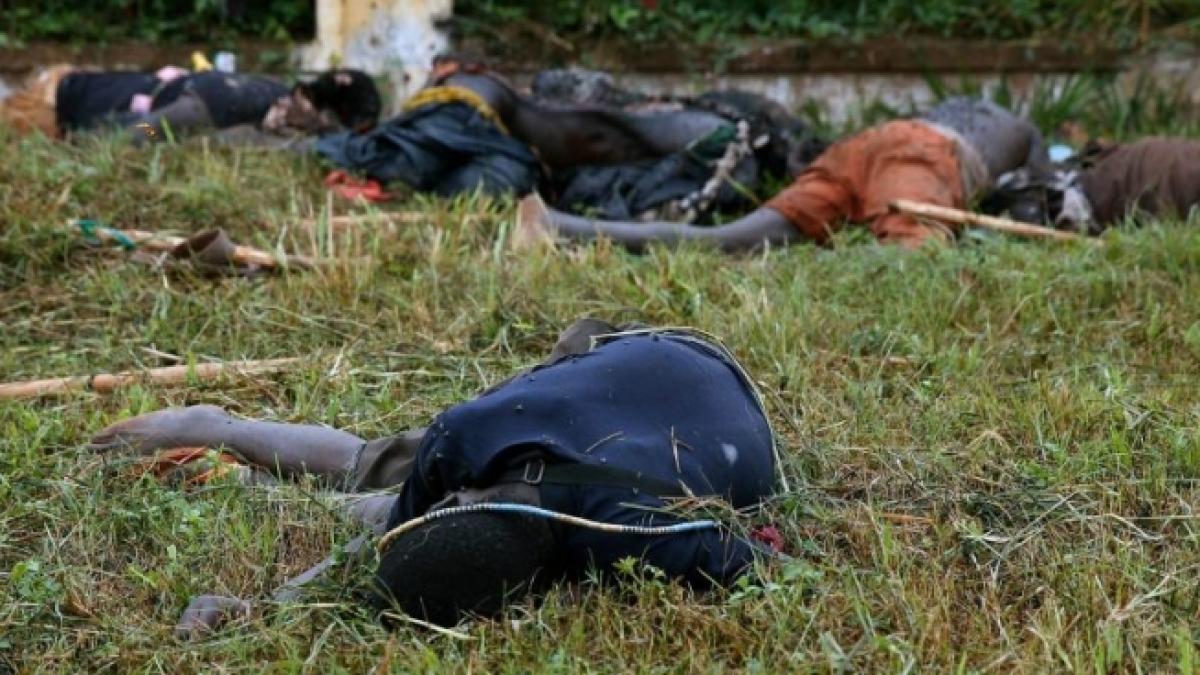 masacrul izbucnit in republica centrafricana s a soldat cu cel putin 300 de morti