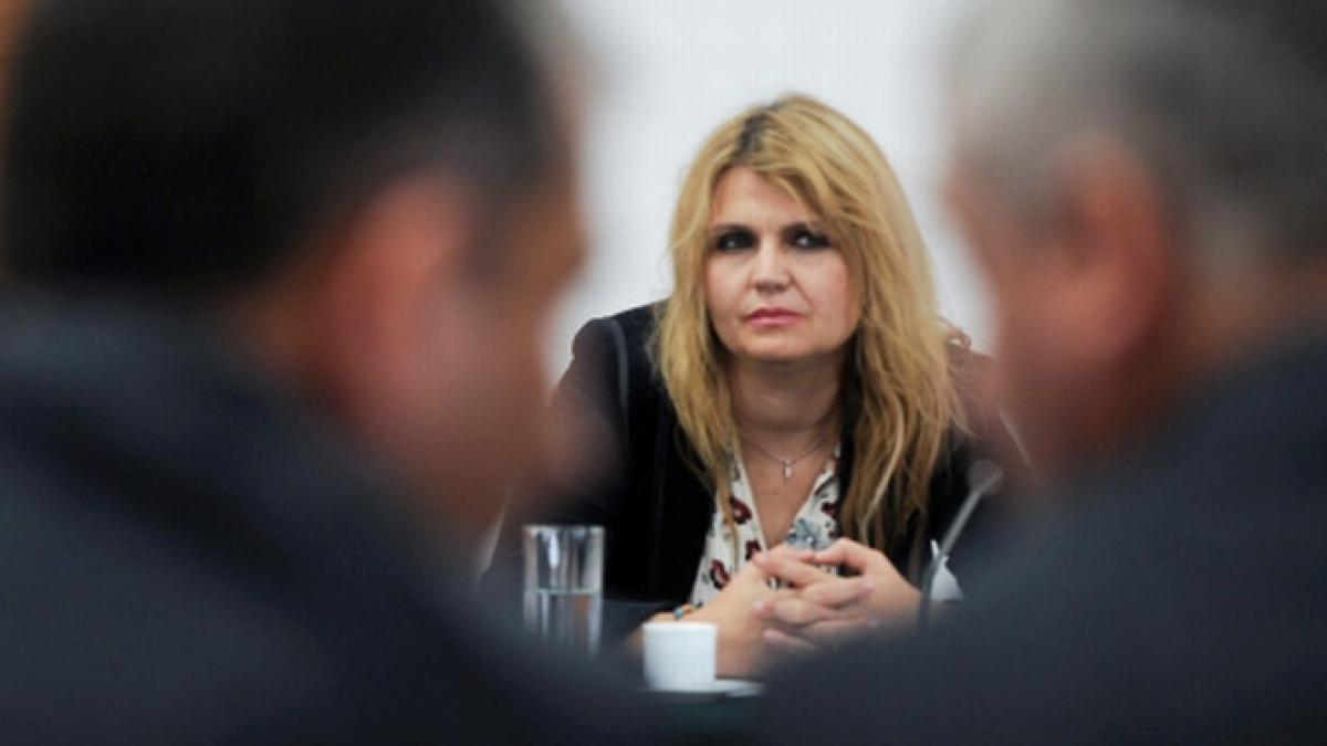 cine ii va lua locul iuliei motoc la curtea constitutionala