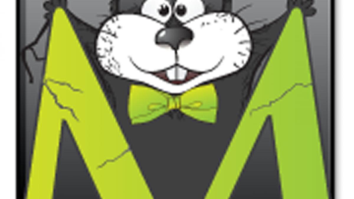 p concurenta directa pentru google himbi market primul market romanesc pentru android ofera premii