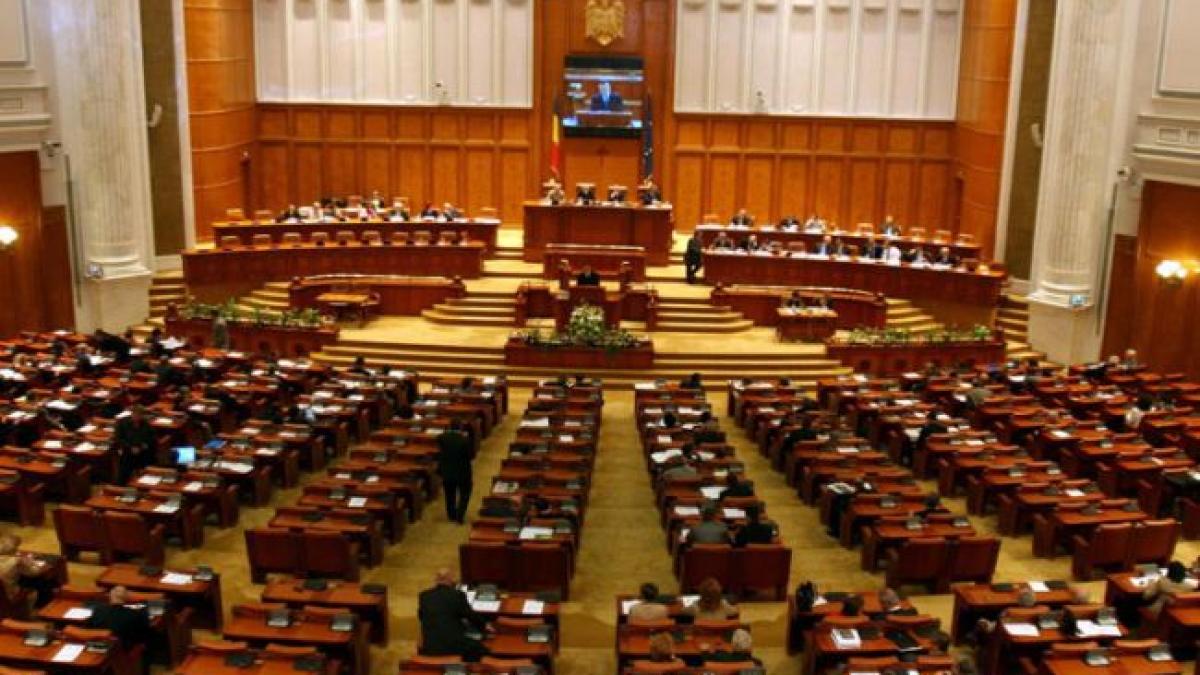 pnl ppdd si pdl vor vota impotriva legii amnistierii