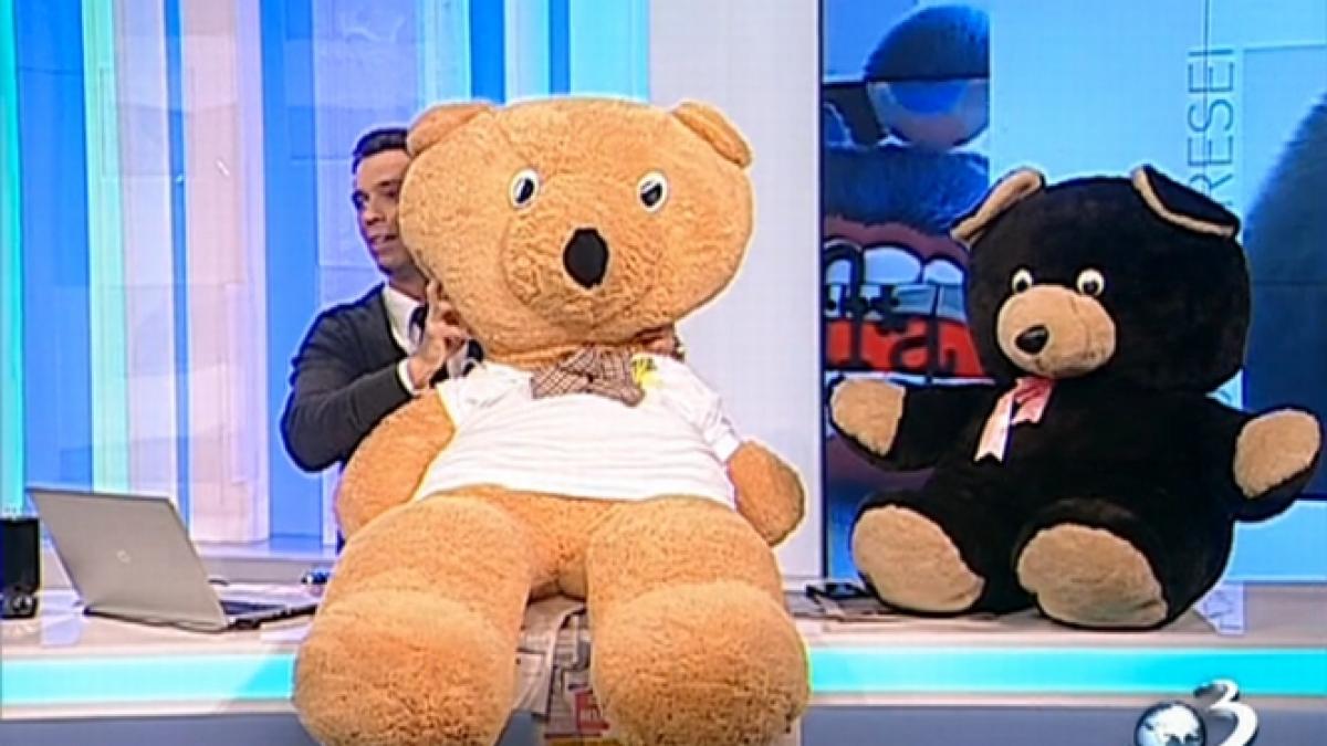 mircea badea vine cu o alta replica la pufulica ursuloiul pufuloiul pe steroizi