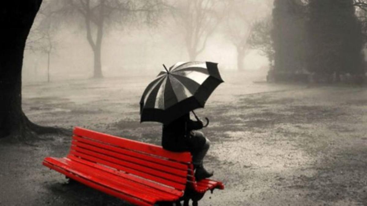 o americanca este atat de singura incat vrea sa si inchirieze o familie de sarbatori