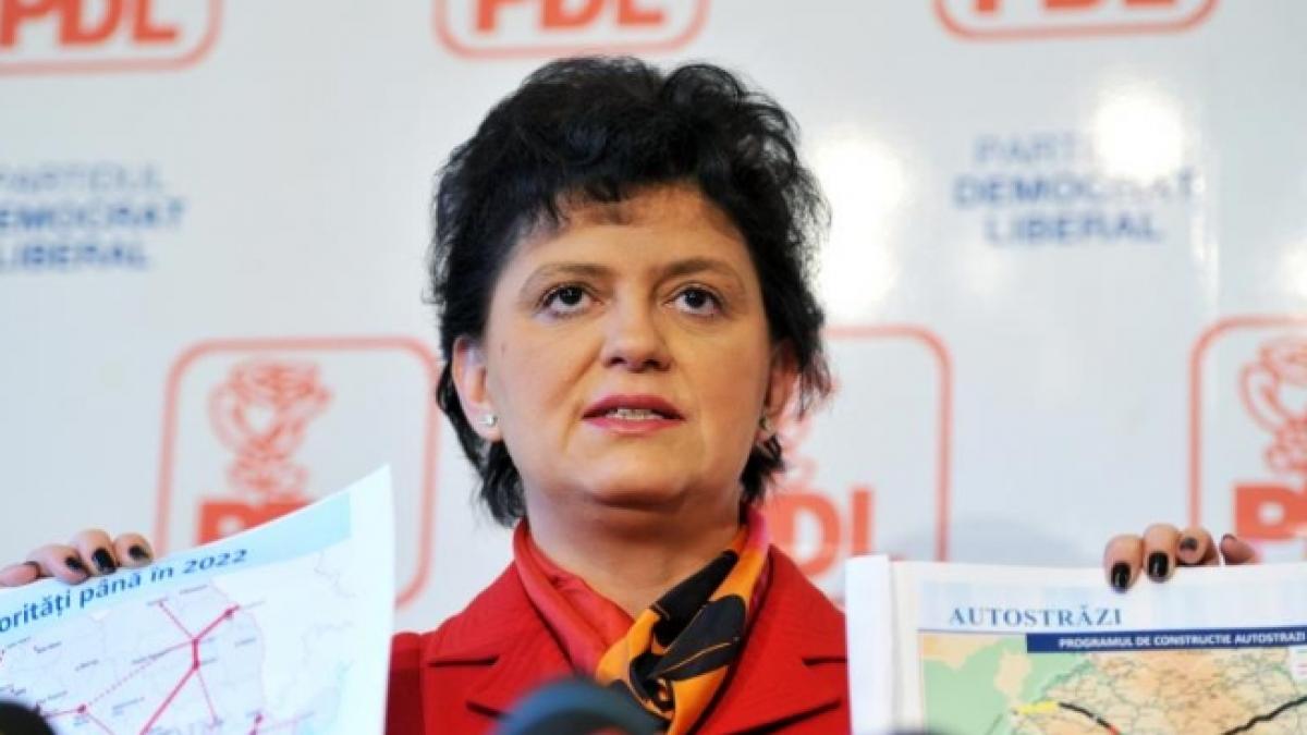 pdl ii raspunde lui basescu noi facem opozitie legile contestate la ccr stau dovada