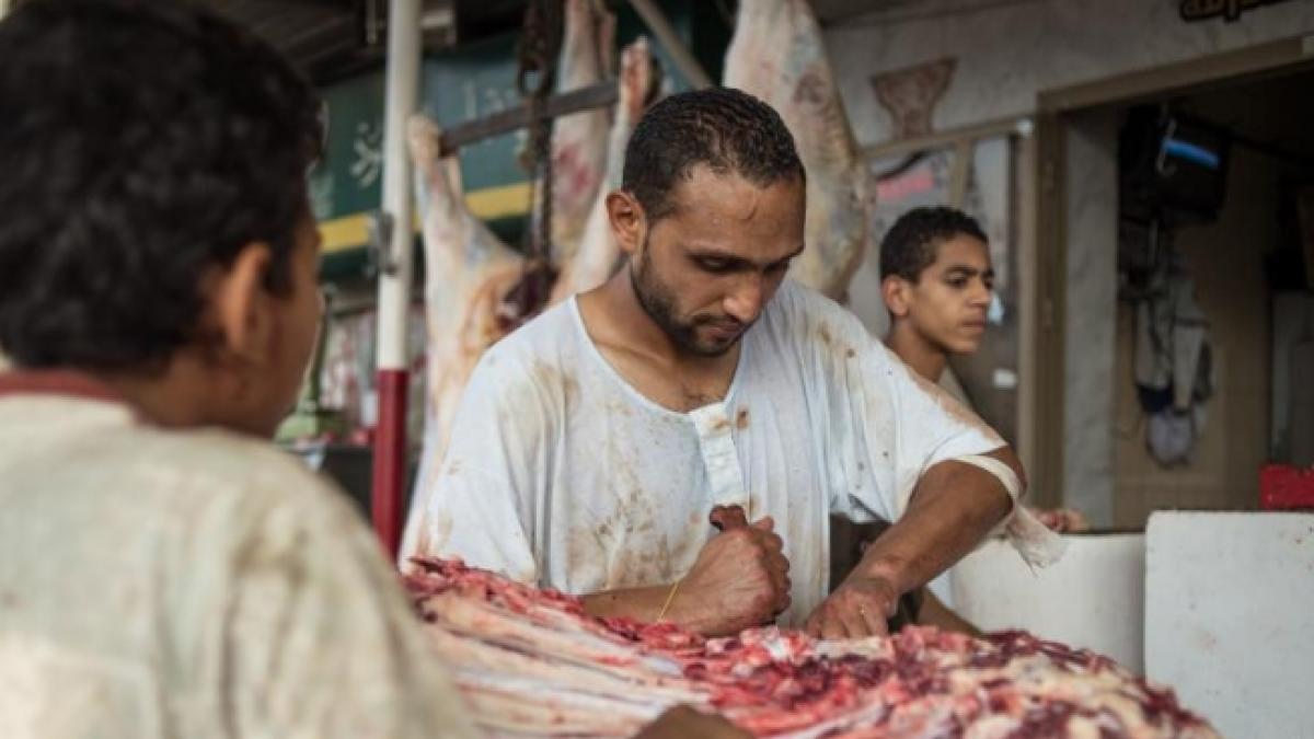 afp un macelar roman din bavaria de la visul german la realitatea dura