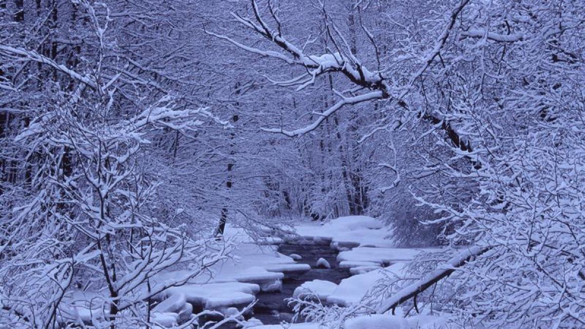 anomalia meteo care a starnit panica printre specialisti temperatura a crescut cu 45 de grade in 42