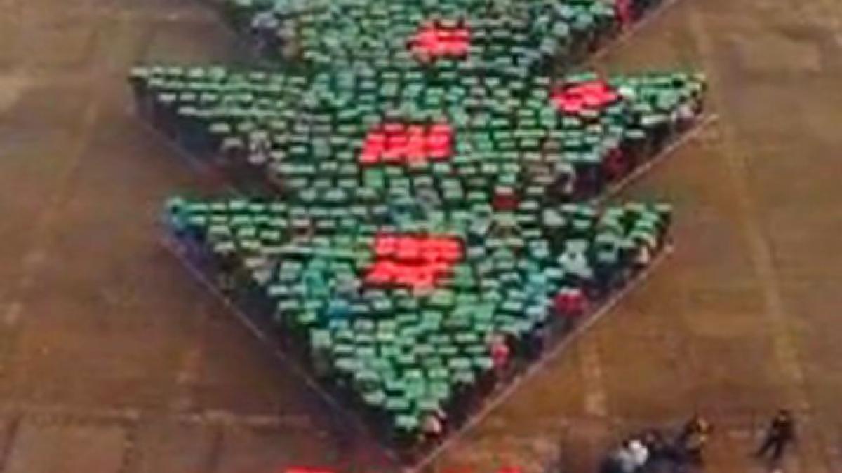 record mondial la baia mare cel mai mare brad uman realizat de elevii si profesorii unui colegiu