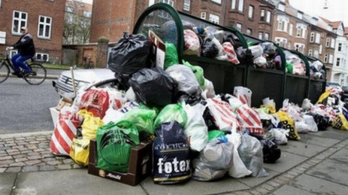 daniel constantin romanii arunca la gunoi 5 000 000 de tone de alimente in fiecare an