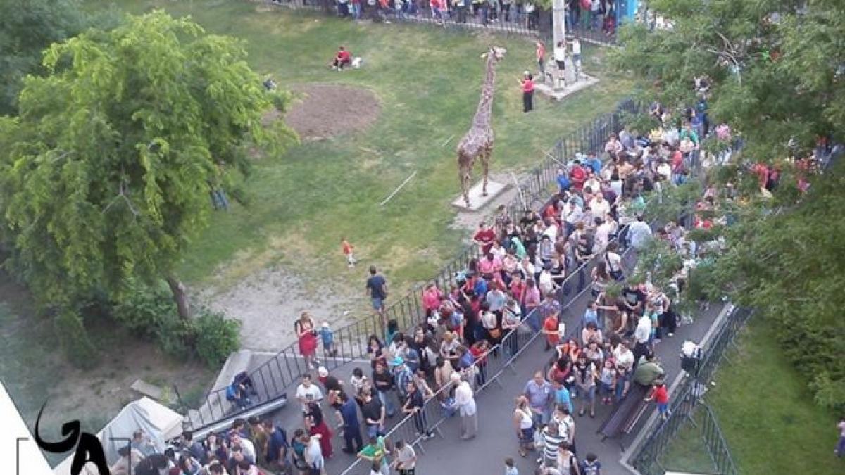 ponta despre comasarea muzeelor nu desfiintam antipa ci extindeam spatiul si aveam bani ue am