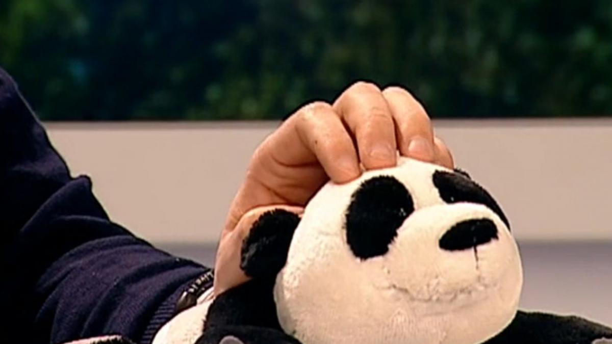 adrian maniutiu despre bugetul de milioane de euro al tvr eucaliptulica este gelos pe pufulica de