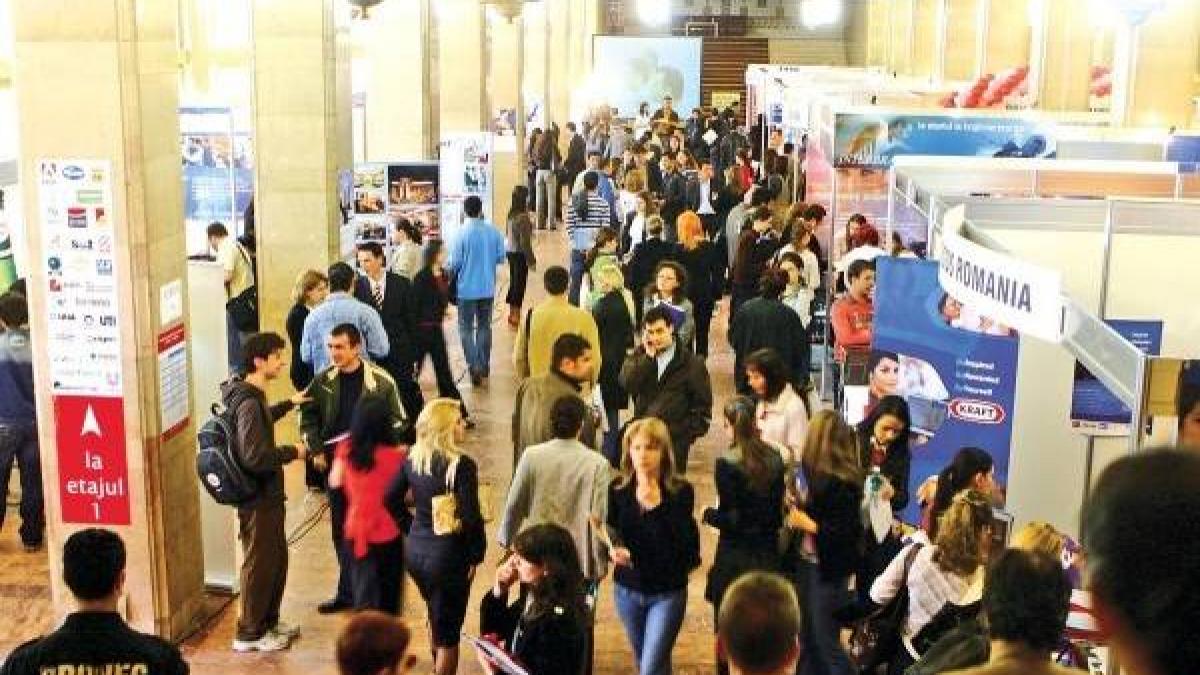 mai multi salariati in 2013 decat in 2012