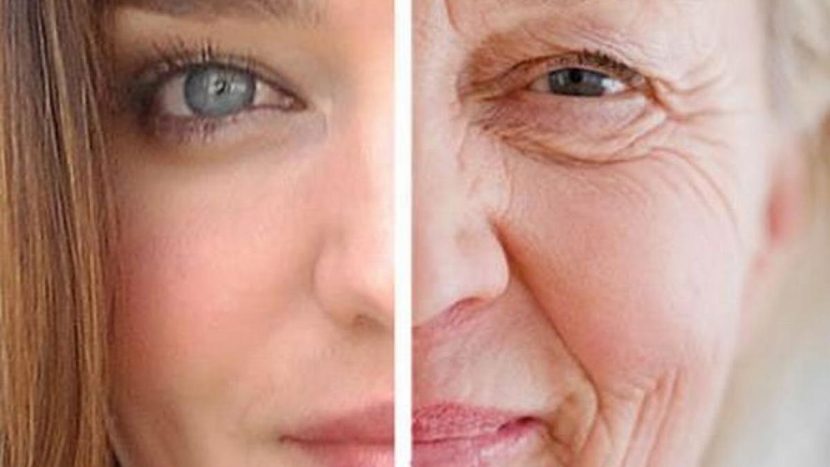 tinerete fara batranete medicamentul care poate inversa imbatranirea descoperit de cercetatorii