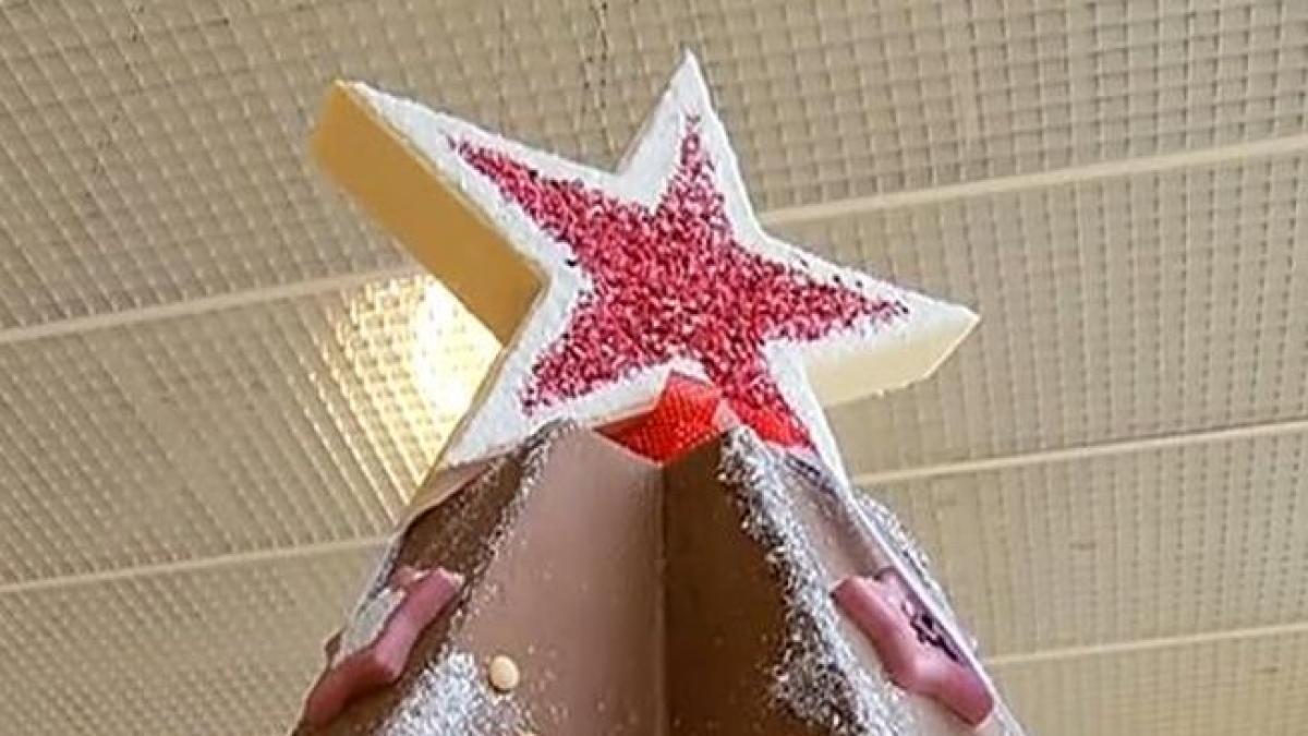 income cum arata cel mai mare brad de ciocolata din romania