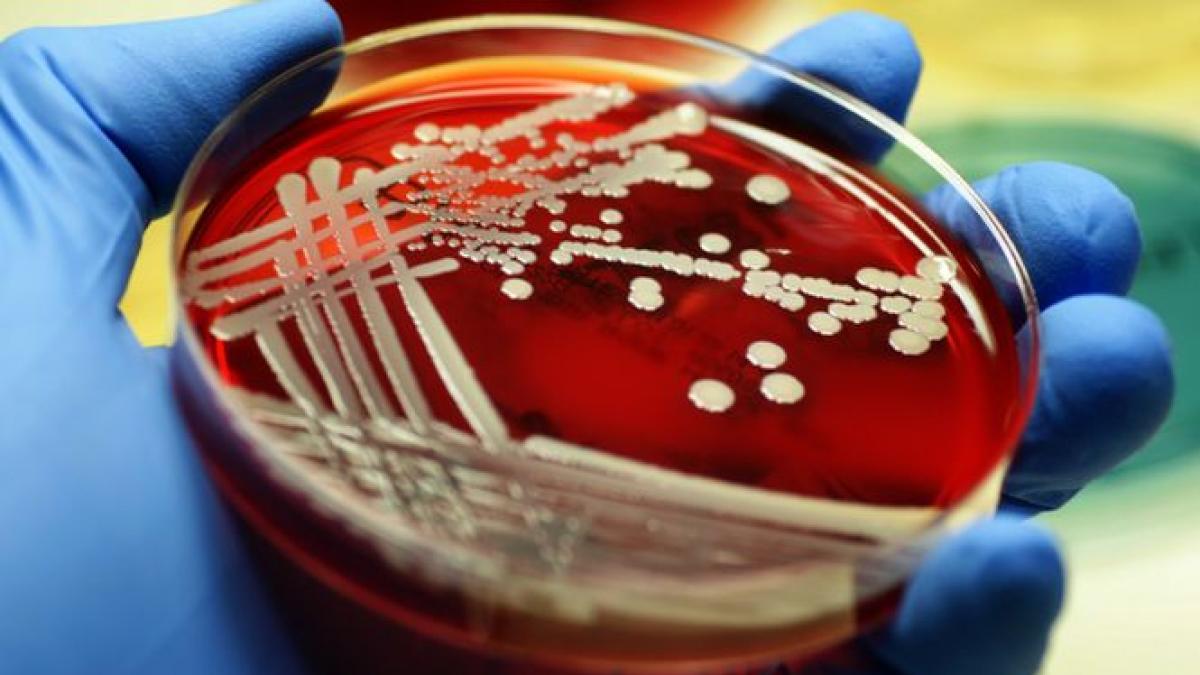 cei care trebuia sa i trateze s au imbolnavit medicii si asistentele de la maternitatea radauti