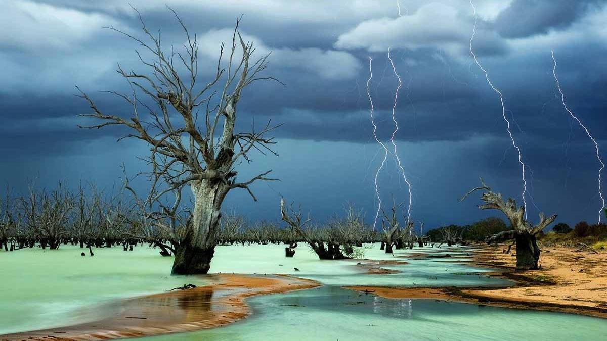 cele mai frumoase fotografii ale anului 2013 national geographic a anuntat castigatorii