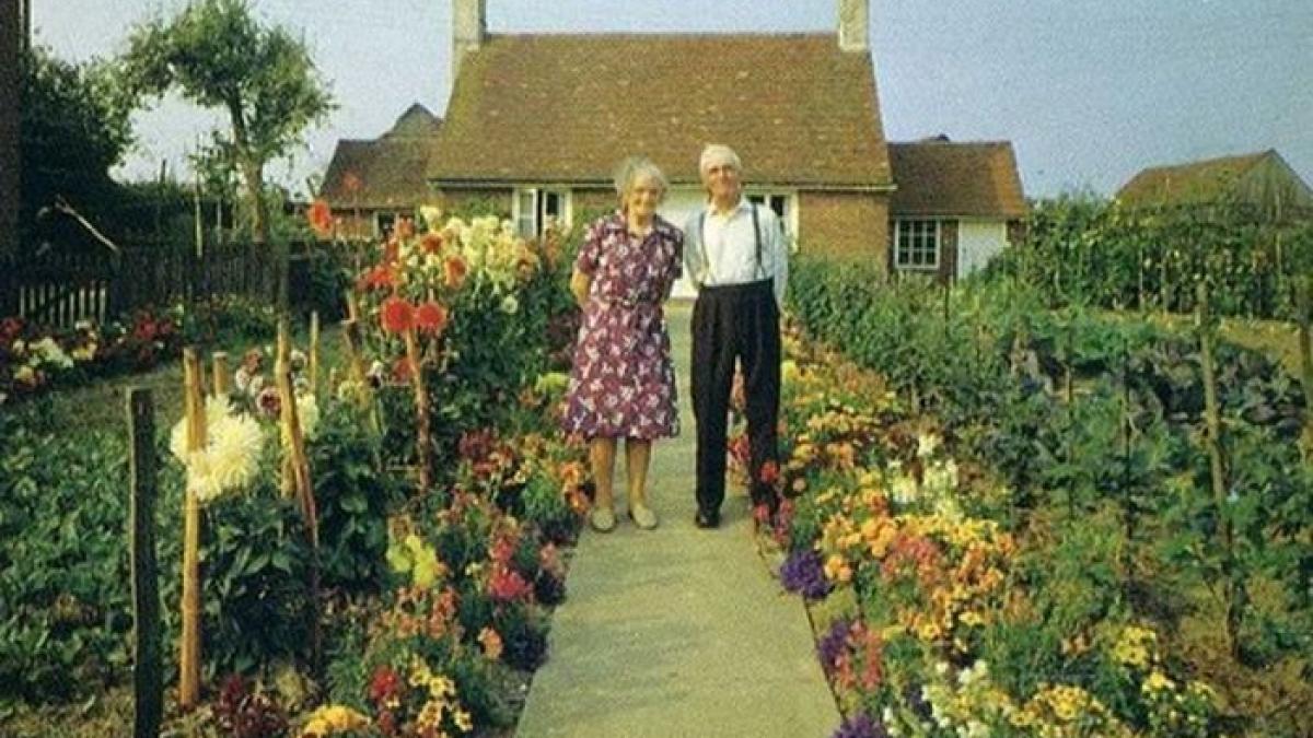 povestea emotionanta pe care o vei intelege cand vei vedea ultima imagine e dureros dar iti da o