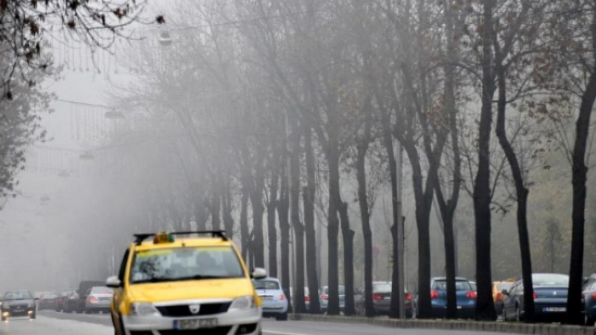 cod galben de ceata si vant care sunt zonele afectate