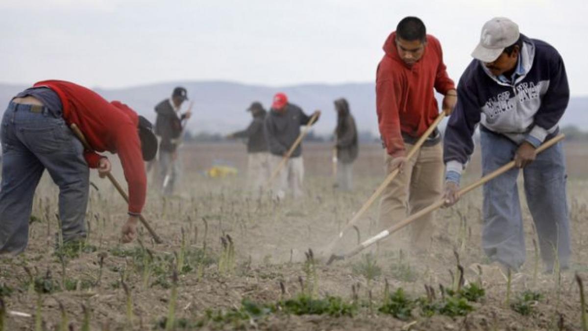 germanii ingrijorati de eliminarea restrictiilor pe piata muncii pentru romani si bulgari
