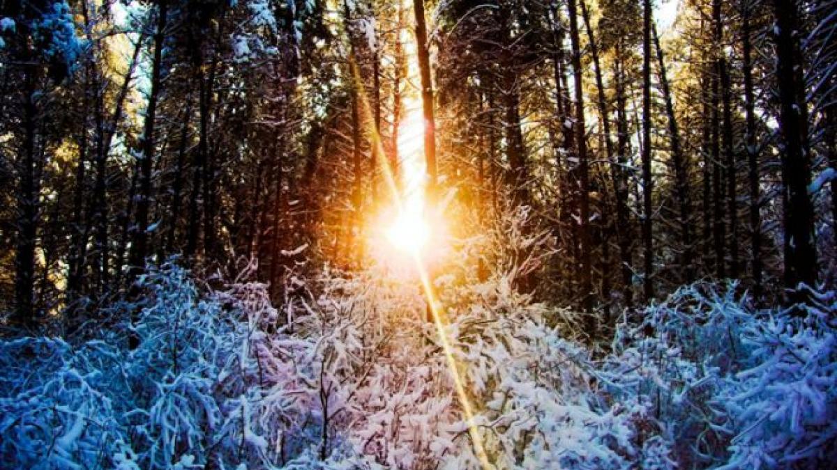 cel mai calduros sfarsit de an din ultima jumatate de secol nu vom astepta ninsoare nici la