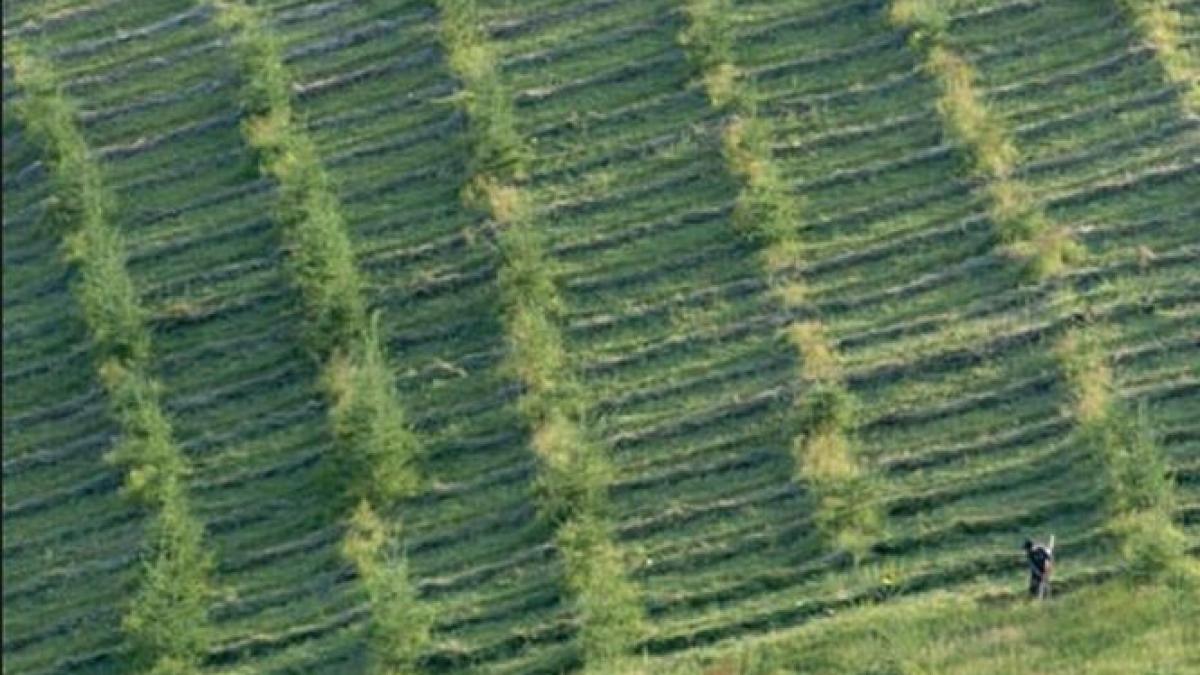 avertismentul oamenilor de stiinta o cincime din suprafata arabila a chinei nu poate fi folosita in