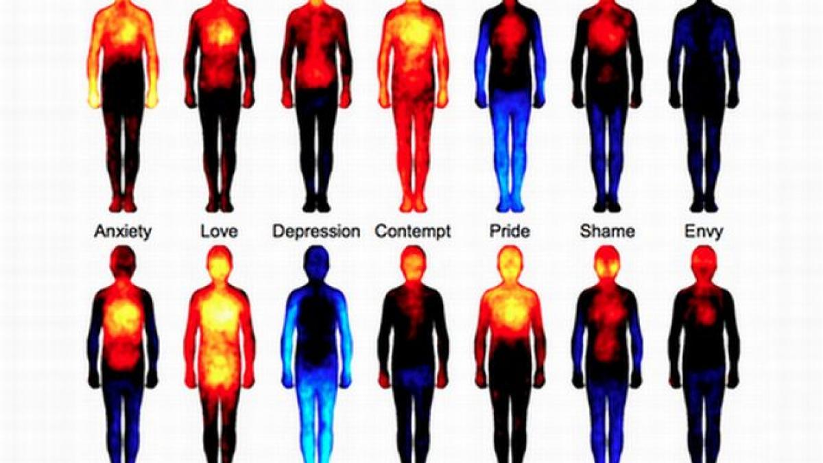 studiul care arata cum este afectat corpul uman de emotii