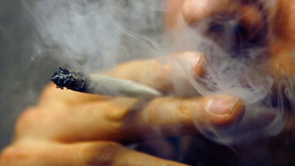 marijuana poate fi fumata legal in mai multe coffee shop uri din colorado si washington