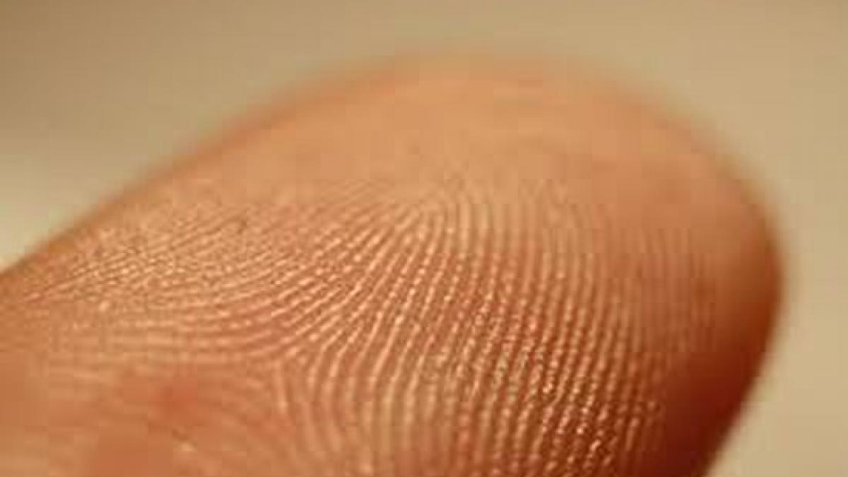 europarlamentarul elmar brok vrea ca imigrantii romani sa fie amprentati la ce ar ajuta amprentarea